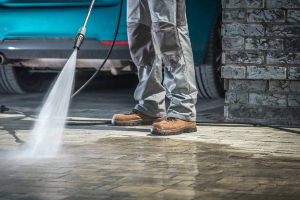 Best Rust Removal  in Bellerose Terrace, NY
