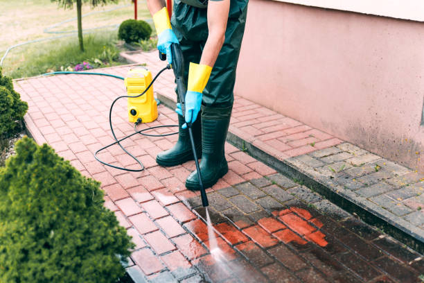 Best Factory Floor Cleaning  in Bellerose Terrace, NY