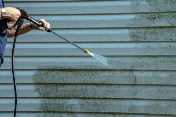 Best Roof Washing  in Bellerose Terrace, NY