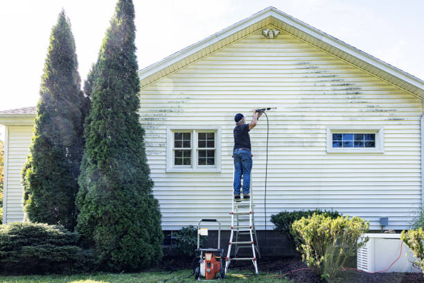 Best Solar Panel Cleaning  in Bellerose Terrace, NY