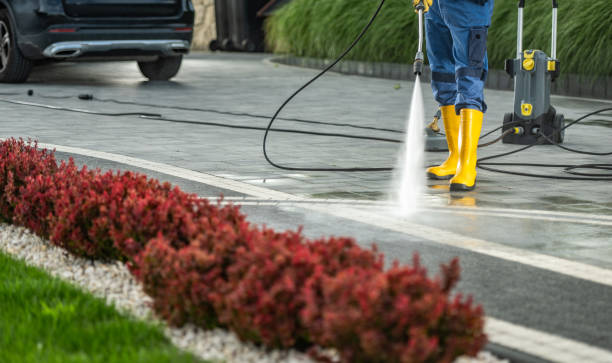 Best Dumpster Area Cleaning  in Bellerose Terrace, NY